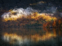 Drzewa, Jesień, Jezioro, Dom, Mgła