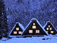 Śnieg, Noc, Światła, Zima, Drzewa, Domy