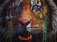 Ściana, Graffiti, Tygrys
