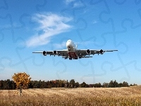 Łąka, Samolot, Airbus A380, Las