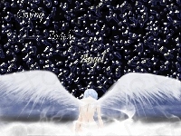 anioł, Neon Genesis Evangelion, wings