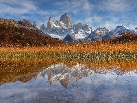 Fitz Roy, Patagonia, Argentyna, Park Narodowy Los Glaciares, Jezioro, Szuwary, Jesień, Góra, Drzewa