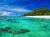 Morze, Atol Aitutaki, Palmy, Wyspy Cooka, Ocean, Plaża