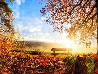 Ławka, Jesień, Drzewa, Park, Promienie słońca, Liście