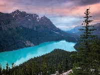 Jezioro Peyto Lake, Park Narodowy Banff, Chmury, Kanada, Góry Canadian Rockies, Las