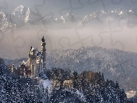 Zima, Bawaria, Drzewa, Niemcy, Zamek Neuschwanstein, Góry