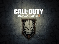 Black Ops 2, Call of Duty