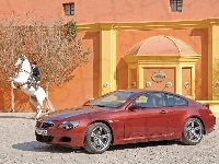 BMW 6, Biały Koń