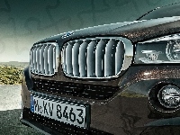 BMW X5 E70, Grill