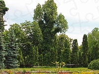 Botaniczny, Drzewa, Ogród, Poznań