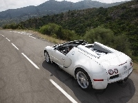 Bugatti Veyron, Biały, Cabrio