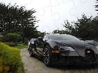 Czarny, Bugatti Veyron