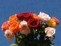 Kolorowych, Bukiet, Róż