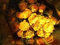 Żółte, Bukiet, Róże