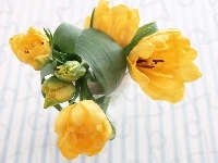 Żółtych, Bukiet, Tulipanów