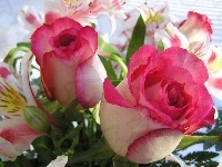 Róże, Bukiet, Lilie