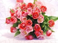 Różowych, Bukiet, Tulipanów