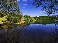 Jezioro, Chorwacja, Park Narodowy Jezior Plitwickich, Drzewa