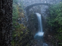 Wodospad Christine Falls, Park Narodowy Mount Rainier, Las, Stan Waszyngton, Mgła, Skały, Rzeka Van Trump Creek, Stany Zjednoczone, Most, Drzewa