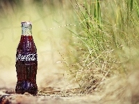 Coca Cola, Butelka, Trawa