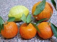 Cytryna, Owoce, Cytrusowe, Pomarańcze