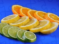 Cytryna, Pomarańcza, Plasterki, Cytrusy, Limonka