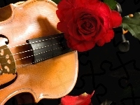 Czerwona, Instrument, Muzyczny, Róża