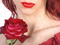 Róża, Czerwona, Kobieta