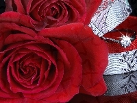 Róża, Czerwona, Pierścionek