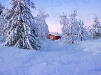 Drzewa, Zaspy, Ośnieżone, Śnieg, Wzgórze, Dom, Zima, Czerwony