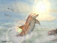 3D, Morze, Delfiny