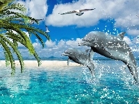Morze, Delfiny, Palmy