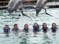Opiekunowie, Delfiny, Śmiech