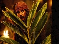 Johnny Depp, piraci_z_karaibow_2, liście
