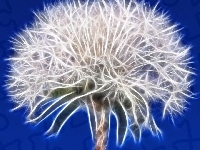 Dmuchawiec, Fractalius