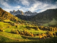 Dolina Val di Funes, Dolomity, Masyw Odle, Lasy, Jesień, Góry, Włochy, Wieś Santa Maddalena, Drzewa