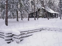Dom, Śniegiem, Las, Drewniany, Pokryte