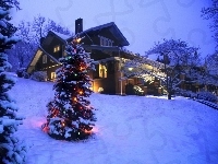 Dom, Choinka, Zima, Boże Narodzenie, Oświetlona