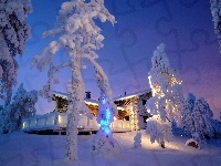 Domek, Drzewa, Zima, Oświetlony, Ośnieżone