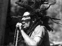 Mikrofon, Dredy, Bob Marley