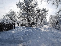 Droga, Śnieg, Stare, Ogrodzenia, Drzewa