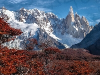Ośnieżone, Argentyna, Andy, Drzewa, Góry, Patagonia, Jesień