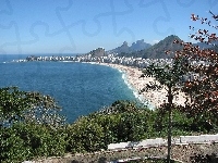 Drzewa, Plaża, Morze, Rio De Janeiro