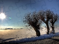 Drzewa, Śnieg, Droga, Słońce