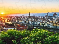 Włochy, Drzewa, Florencja, Świt, Miasto