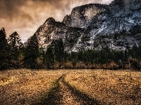 Góry Half Dome, Stan Kalifornia, Drzewa, Stany Zjednoczone, Park Narodowy Yosemite, Ścieżka