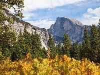 Drzewa, Kalifornia, Jesień, Góry, Yosemite