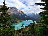Prowincja Alberta, Drzewa, Świerki, Jezioro Moraine, Kanada, Park Narodowy Banff, Góry
