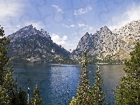 Drzewa, Wyoming, Jezioro, Góry, Jeeny Lake