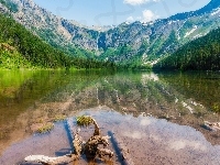 Jezioro Hidden Lake, Stan Montana, Drzewa, Stany Zjednoczone, Park Narodowy Glacier, Góry